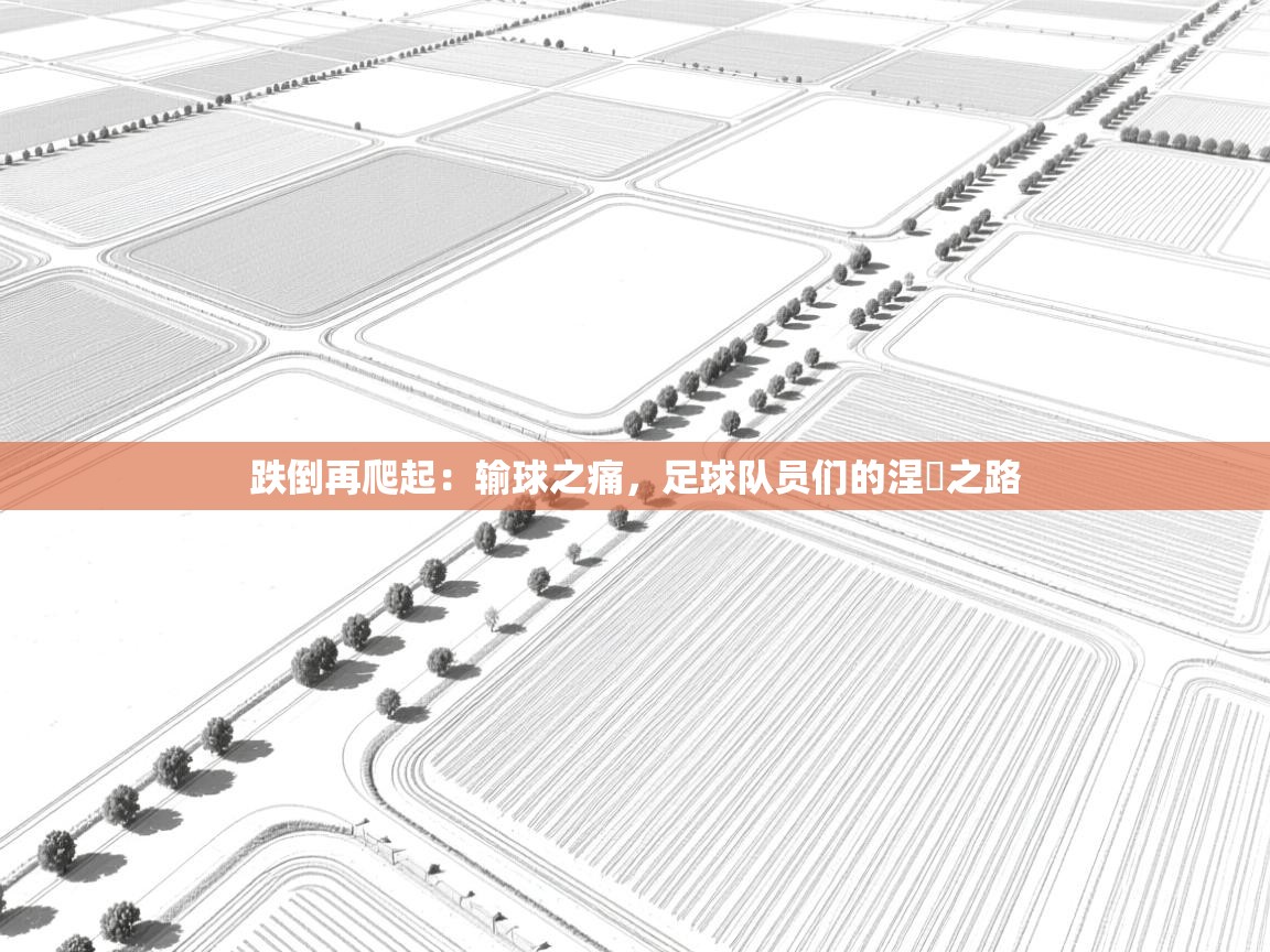 跌倒再爬起:输球之痛,足球队员们的涅槃之路 第1张